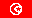 TUN flag