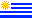 URU flag